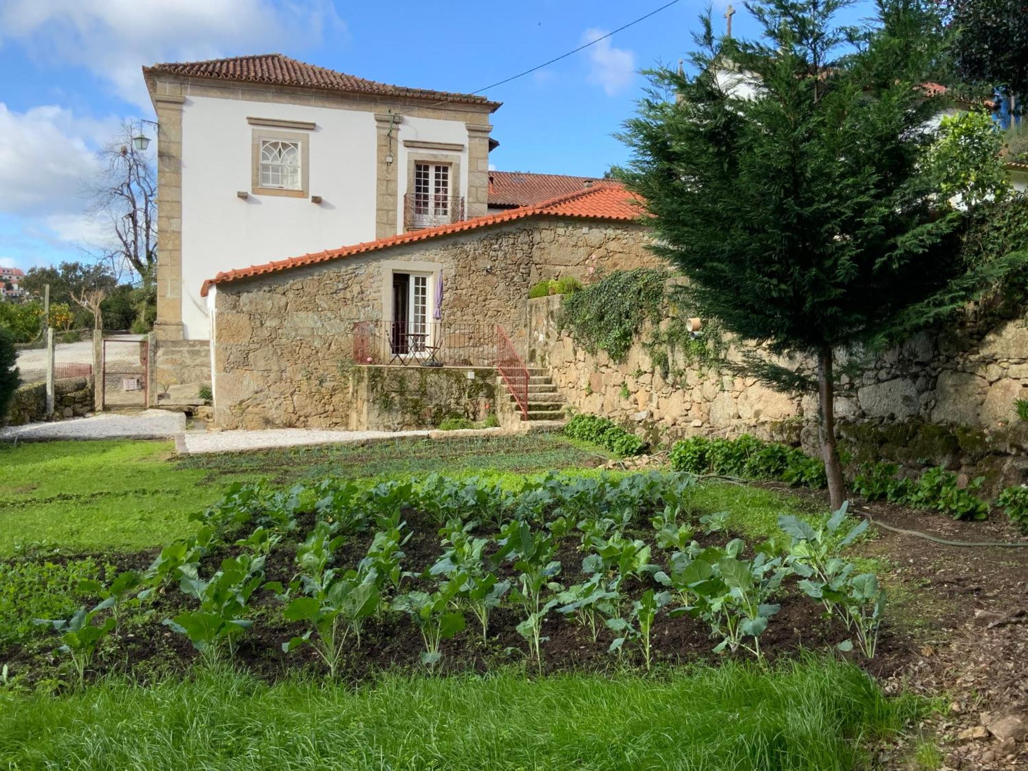Vila Quinta Do Bravio Barroselas Exteriér fotografie