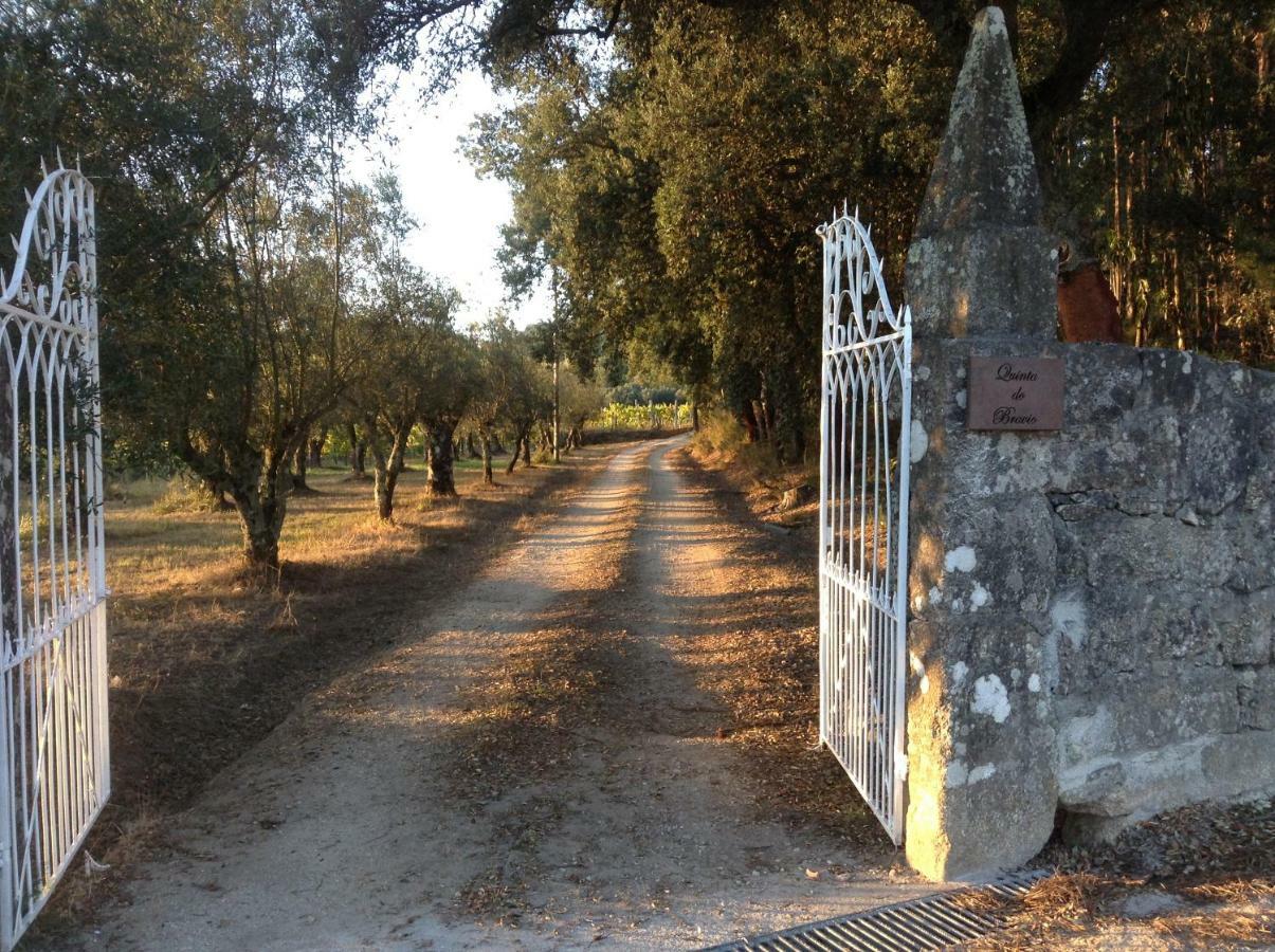 Vila Quinta Do Bravio Barroselas Exteriér fotografie